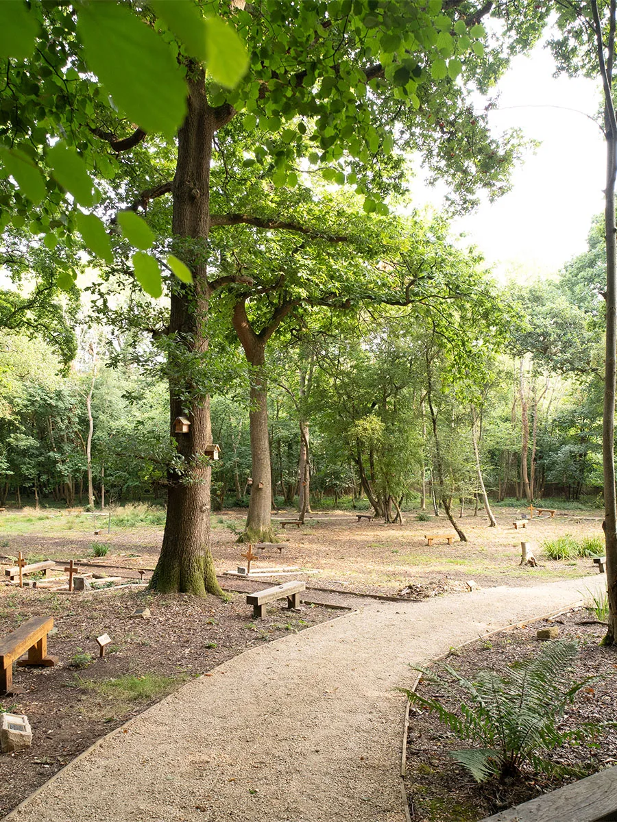 A gravel path winding through oak woodland in the cemetery's woodland burial area