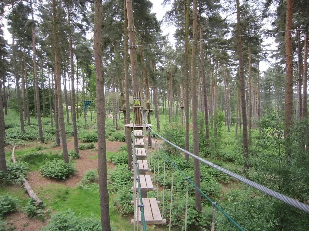 A tree-to-tree crossing on a Go Ape high ropes course. Photographed at Go Ape Cannock Chase in Staffordshire, not at the Kent sites.
