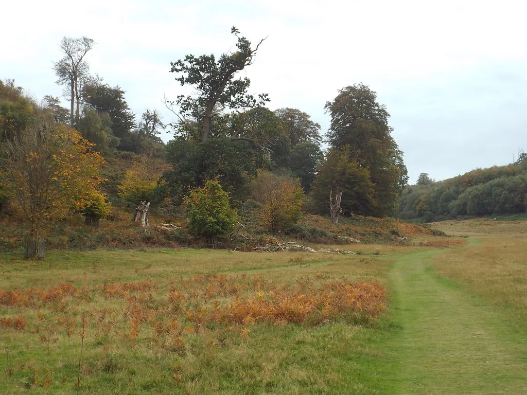 Autumn colour in the parkland at Knole, the ground the twelve Gruffalo sculptures are standing on until 1 November.