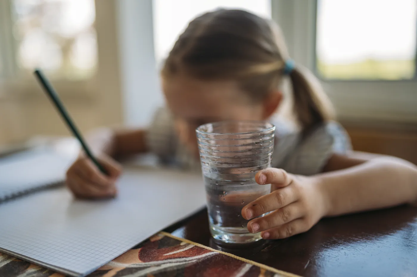 A child writing in an exercise book at a table