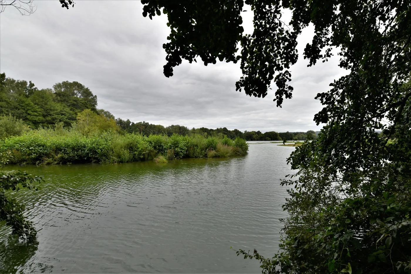 The East Lake at Sevenoaks Wildlife Reserve
