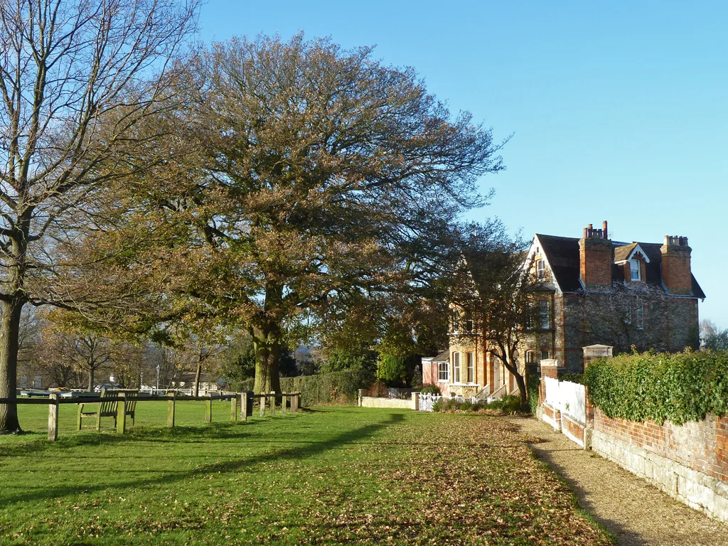 The King Oak on the Vine cricket ground, Sevenoaks. The Vine Gardens play area, cafe and public toilets are beside it.