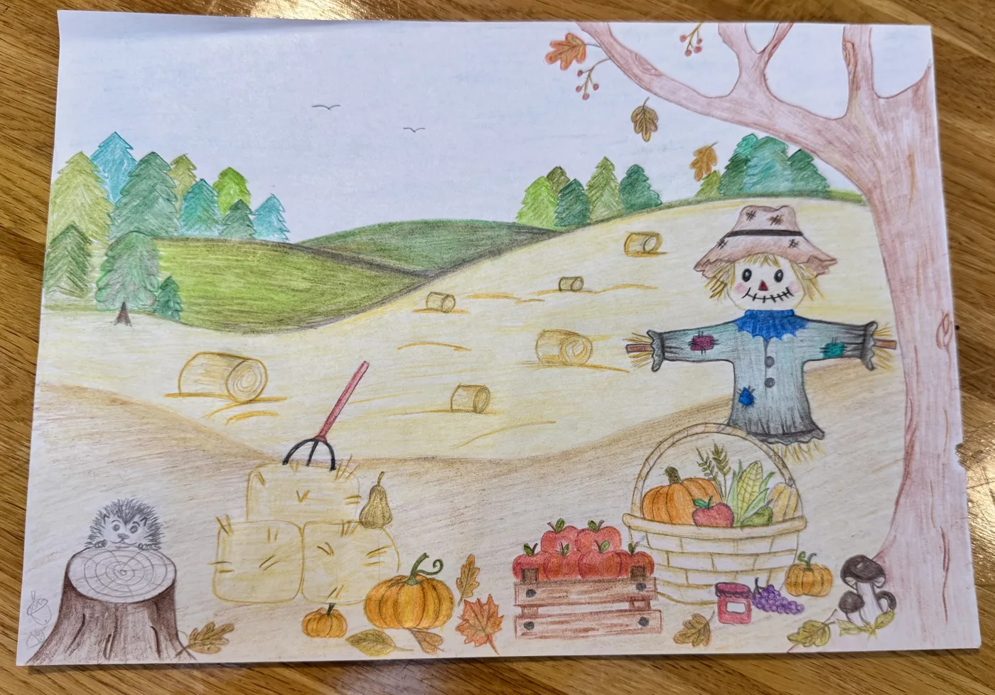 A coloured pencil drawing of a harvest scene: green hills and pine trees, hay bales, a pitchfork, a scarecrow beneath an autumn tree, a hedgehog on a tree stump, a crate of red apples, pumpkins, a basket of vegetables, a jar of jam, grapes and mushrooms
