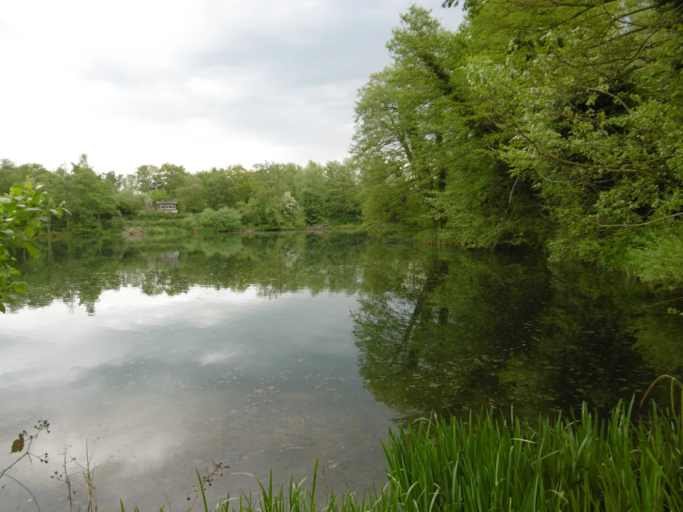 Sevenoaks Wildlife Reserve, one of the best free family days out in the town, with a bird hide visible across West Lake.