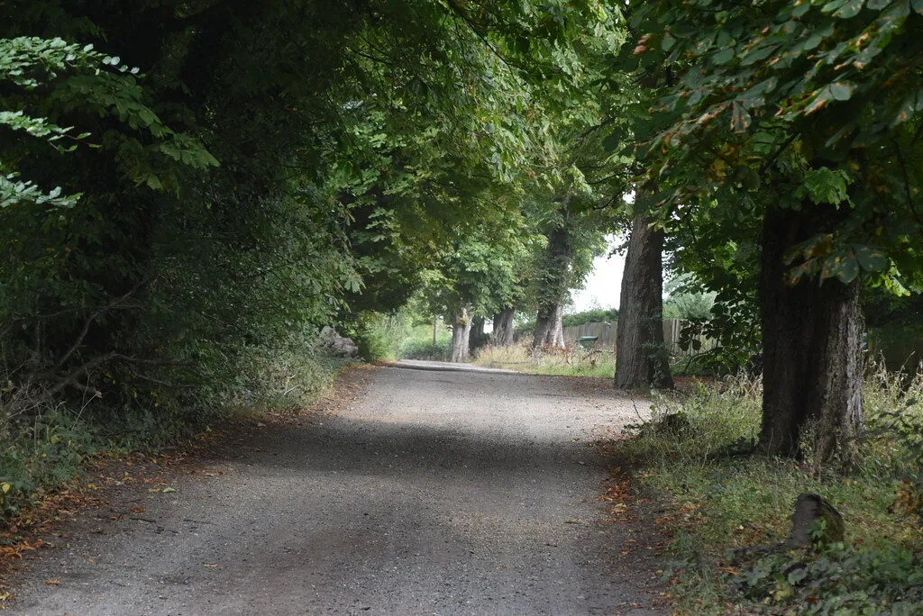 Chestnut Avenue, Westerham